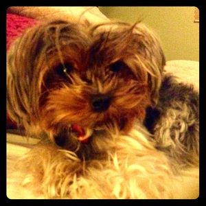 Meet your Posher, Quynhnga